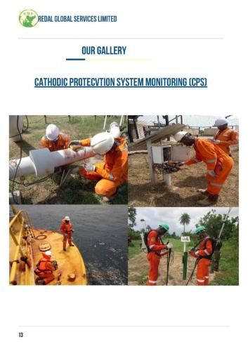 DCVG/CIPS Inspection